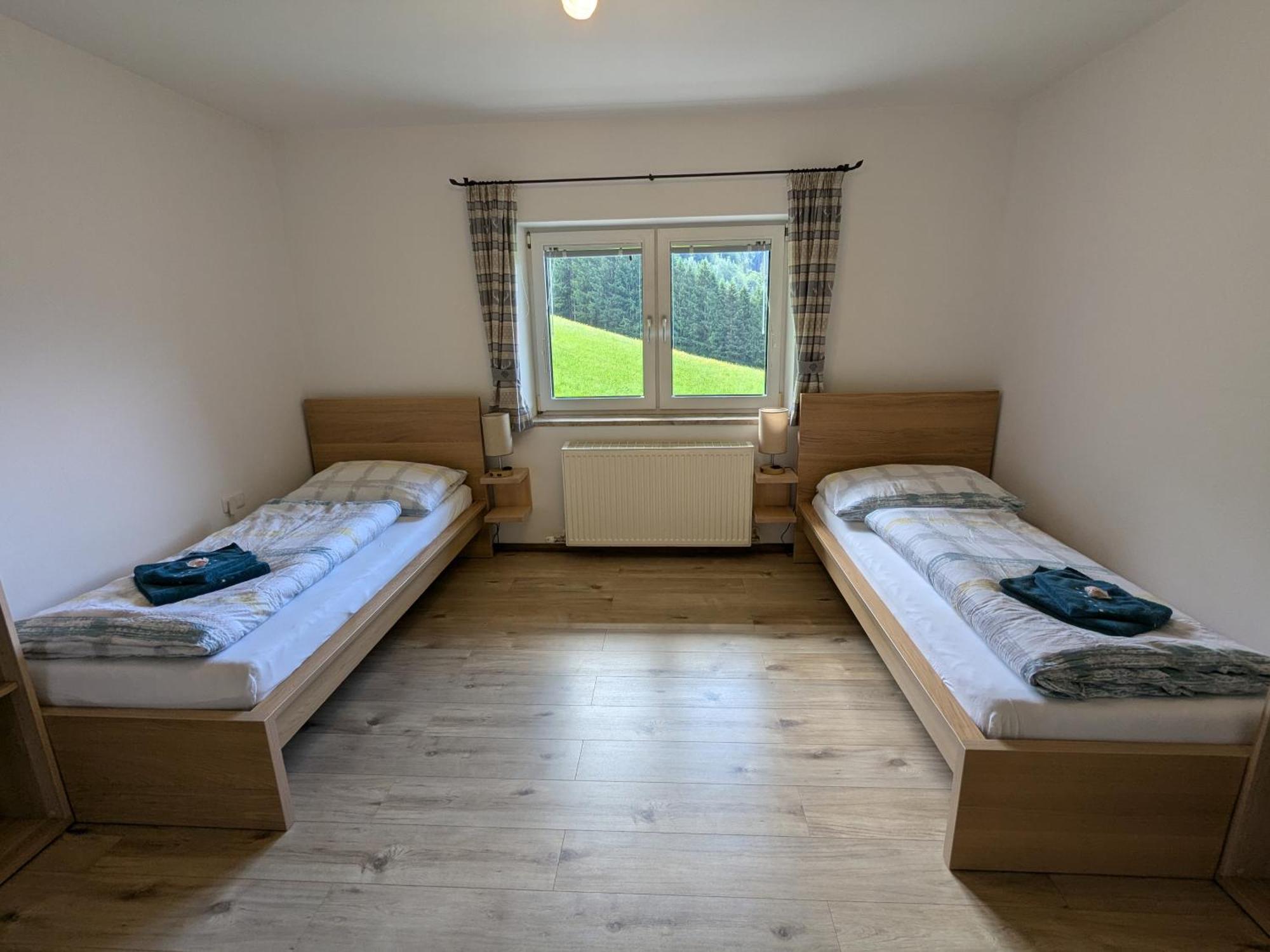 Haus Biechl Mit Blick Auf Burg Hohenwerfen Apartment *